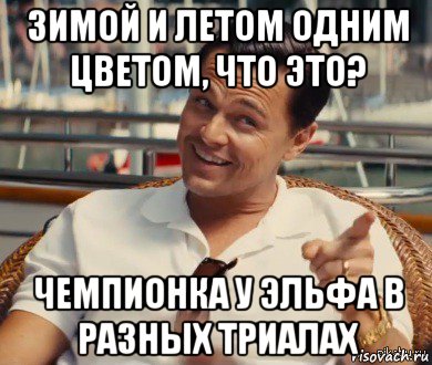 зимой и летом одним цветом, что это? чемпионка у эльфа в разных триалах, Мем Хитрый Гэтсби