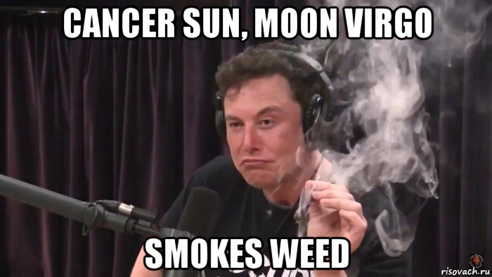 cancer sun, moon virgo smokes weed, Мем Илон Маск