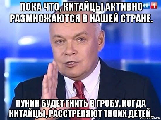 пока что, китайцы активно размножаются в нашей стране. пукин будет гнить в гробу, когда китайцы, расстреляют твоих детей.