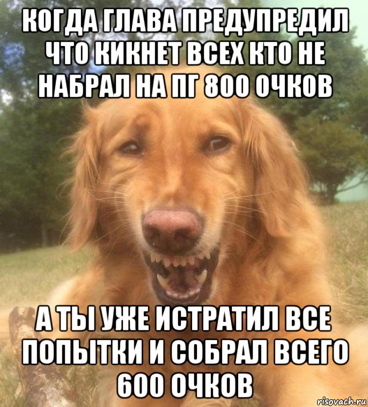 когда глава предупредил что кикнет всех кто не набрал на пг 800 очков а ты уже истратил все попытки и собрал всего 600 очков, Мем   Когда увидел что соседского кота отнесли в чебуречную