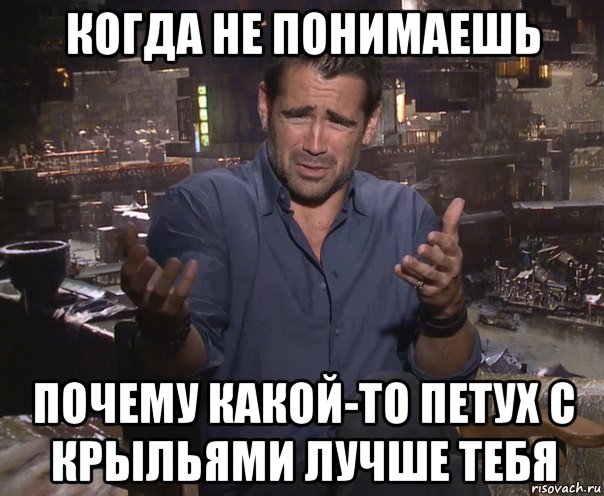 когда не понимаешь почему какой-то петух с крыльями лучше тебя, Мем колин фаррелл удивлен