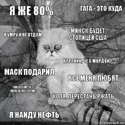 Я же 80% Все меня любят Минск будет столицей сша Я найду нефть Маск подарил Гага - это куда Коля, перестань ржать Я умру и не отдам Лидочка, че с калькулятором ? Караник, че с мордой?, Комикс  кот безысходность