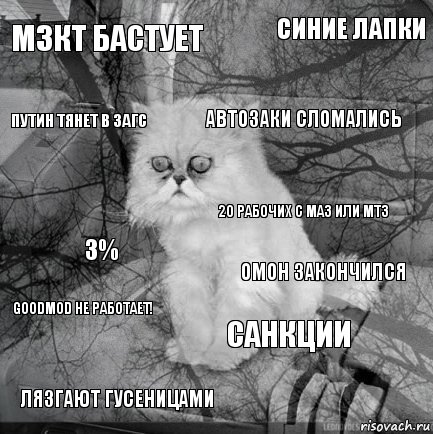 МЗКТ бастует ОМОН закончился Автозаки сломались Лязгают гусеницами 3% синие лапки Санкции Путин тянет в ЗАГС goodmod не работает! 20 рабочих с МАЗ или МТЗ, Комикс  кот безысходность