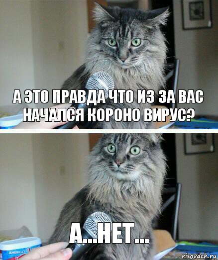 А это правда что из за вас начался короно вирус? А…нет…, Комикс  кот с микрофоном