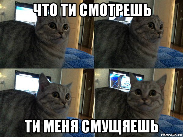 что ти смотрешь ти меня смущяешь