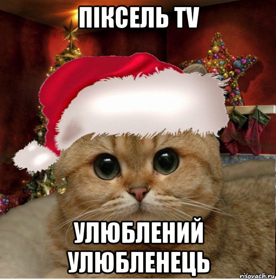 піксель tv улюблений улюбленець, Мем Котенька