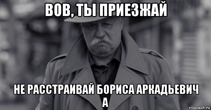 вов, ты приезжай не расстраивай бориса аркадьевич а, Мем Леонид Аркадьевич