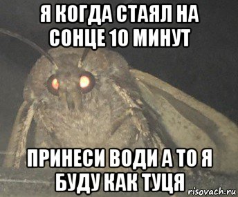 я когда стаял на сонце 10 минут принеси води а то я буду как туця, Мем Матылёк