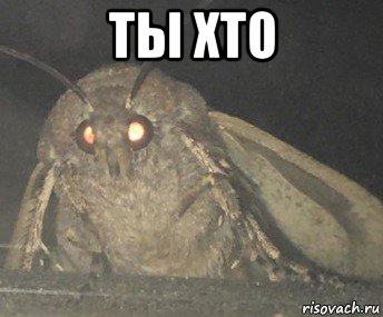 ты хто 