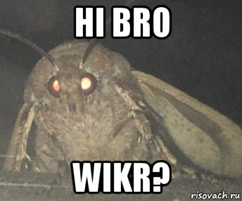 hi bro wikr?, Мем Матылёк