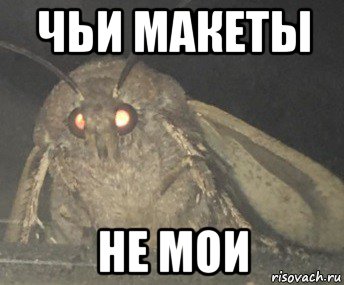 чьи макеты не мои, Мем Матылёк