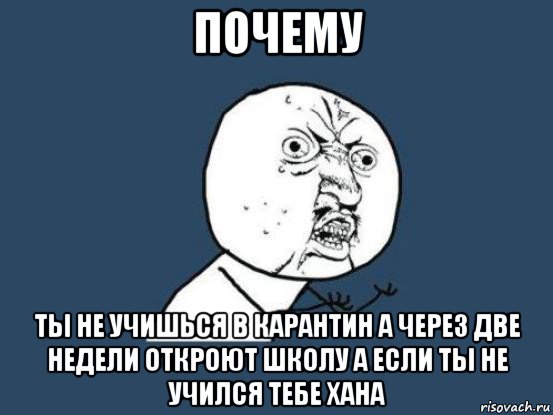 почему ты не учишься в карантин а через две недели откроют школу а если ты не учился тебе хана, Мем Ну почему