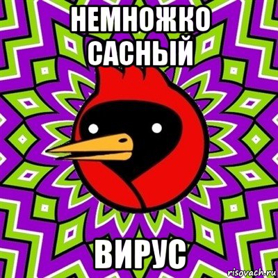 немножко сасный вирус