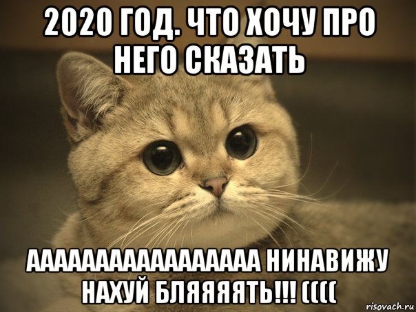 2020 год. что хочу про него сказать ааааааааааааааааа нинавижу нахуй бляяяять!!! ((((