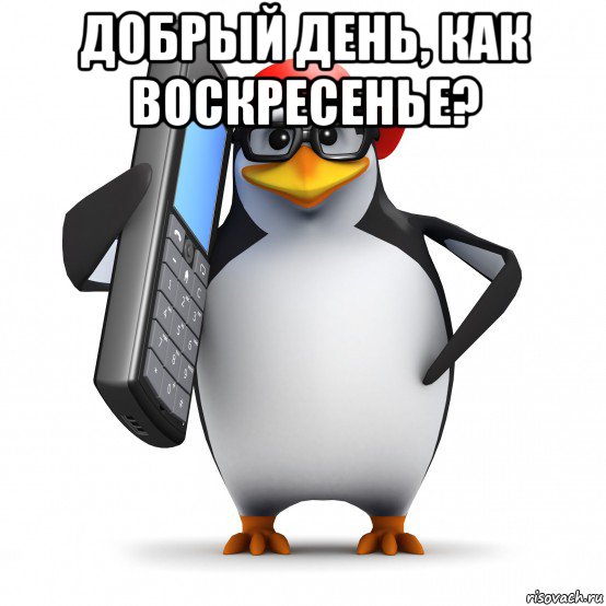 добрый день, как воскресенье? , Мем   Пингвин звонит