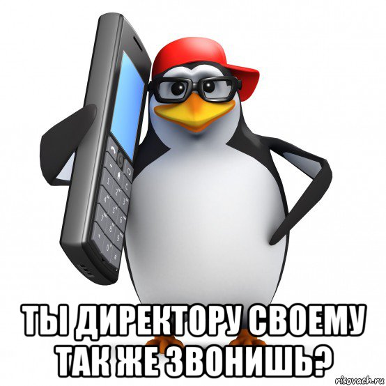  ты директору своему так же звонишь?, Мем   Пингвин звонит