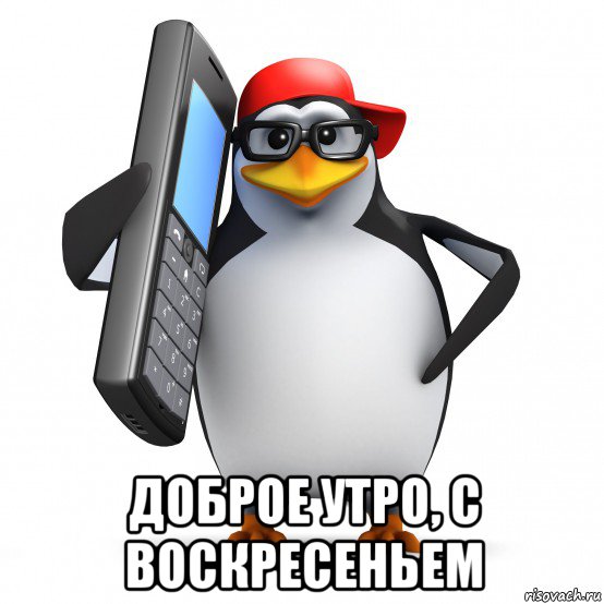  доброе утро, с воскресеньем, Мем   Пингвин звонит