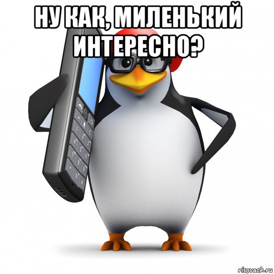 ну как, миленький интересно? , Мем   Пингвин звонит