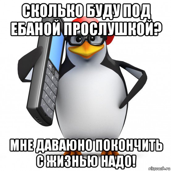 сколько буду под ебаной прослушкой? мне даваюно покончить с жизнью надо!, Мем   Пингвин звонит