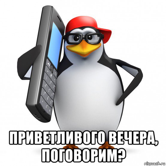  приветливого вечера, поговорим?, Мем   Пингвин звонит