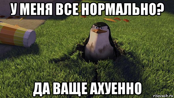 у меня все нормально? да ваще ахуенно