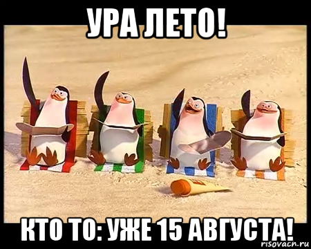 ура лето! кто то: уже 15 августа!, Мем   пингвины мадагаскара машут