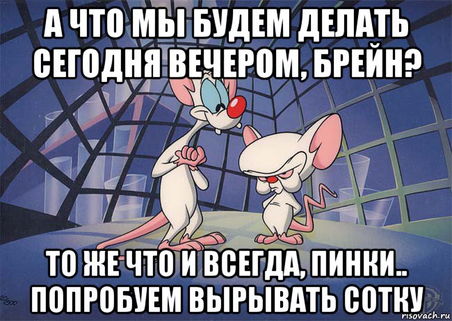 а что мы будем делать сегодня вечером, брейн? то же что и всегда, пинки.. попробуем вырывать сотку