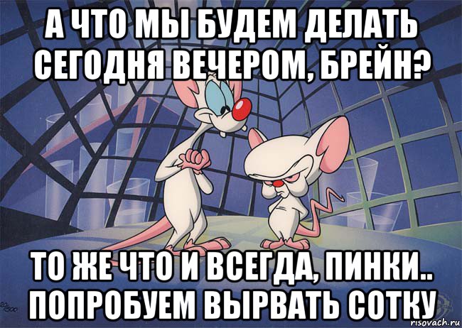 а что мы будем делать сегодня вечером, брейн? то же что и всегда, пинки.. попробуем вырвать сотку