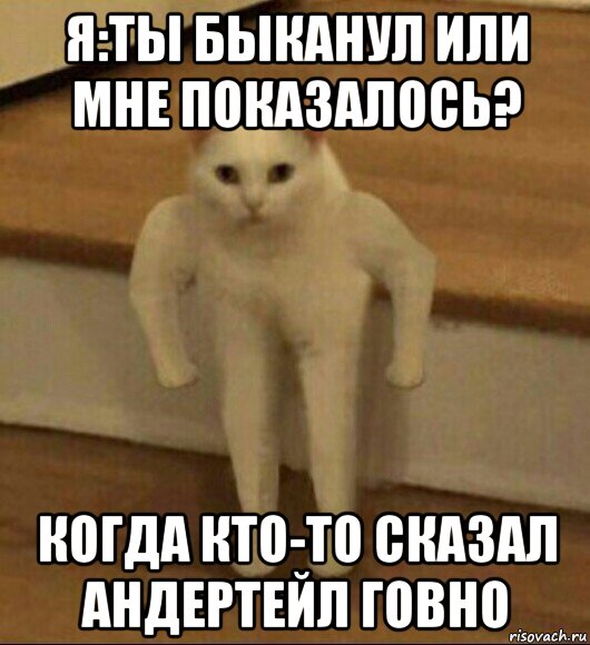 я:ты быканул или мне показалось? когда кто-то сказал андертейл говно, Мем  Полукот