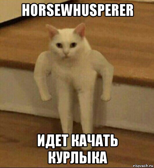 horsewhusperer идет качать курлыка, Мем  Полукот