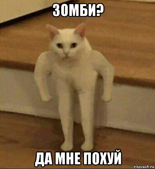 зомби? да мне похуй, Мем  Полукот