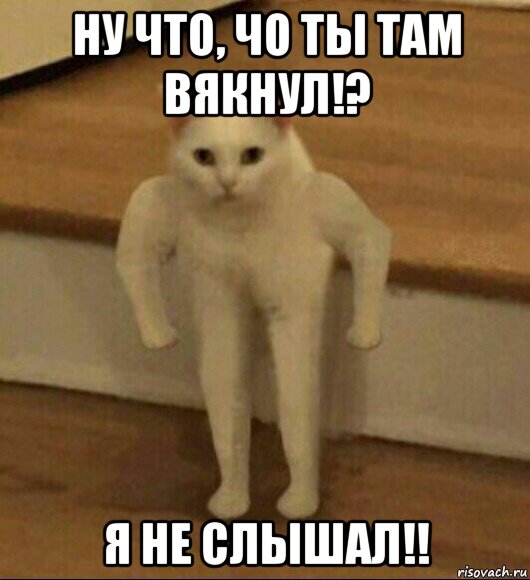 ну что, чо ты там вякнул!? я не слышал!!, Мем  Полукот