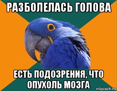 разболелась голова есть подозрения, что опухоль мозга, Мем Попугай параноик