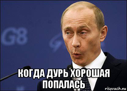  когда дурь хорошая попалась, Мем Путин