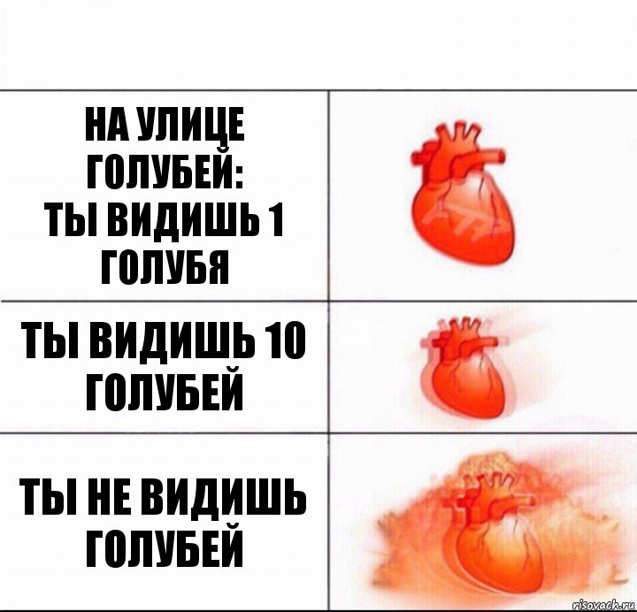 На улице голубей:
Ты видишь 1 голубя Ты видишь 10 голубей Ты не видишь голубей