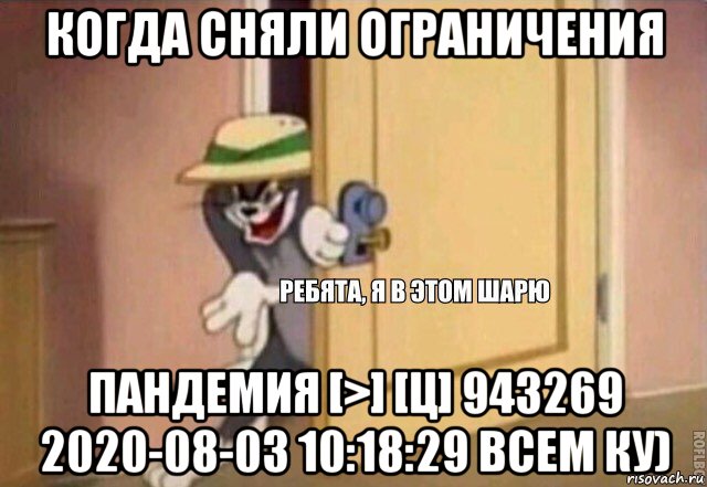 когда сняли ограничения пандемия [>] [ц] 943269 2020-08-03 10:18:29 всем ку), Мем    Ребята я в этом шарю