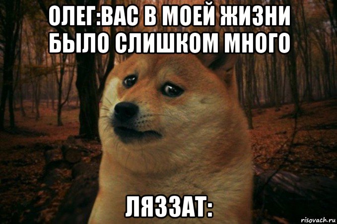 олег:вас в моей жизни было слишком много ляззат:, Мем SAD DOGE