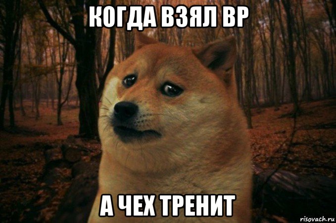 когда взял вр а чех тренит, Мем SAD DOGE