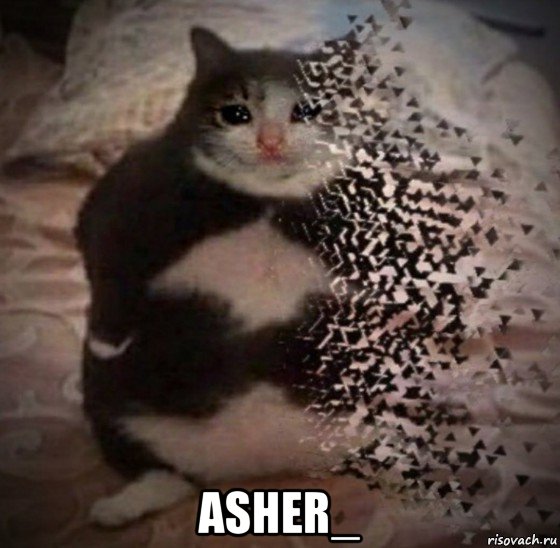  asher_