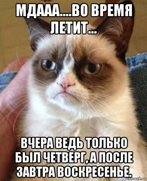 мдааа....во время летит... вчера ведь только был четверг, а после завтра воскресенье., Мем Угрюмый кот