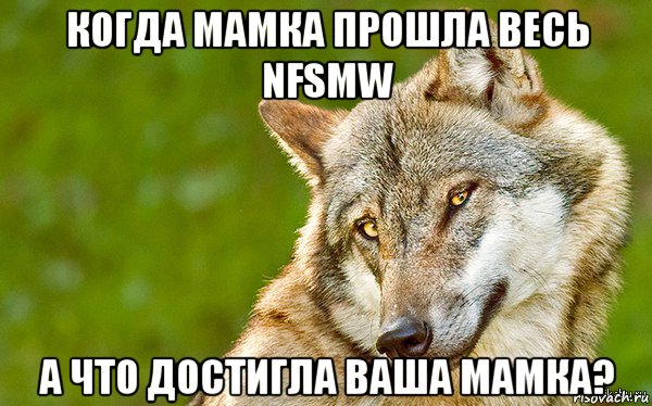 когда мамка прошла весь nfsmw а что достигла ваша мамка?, Мем   Volf