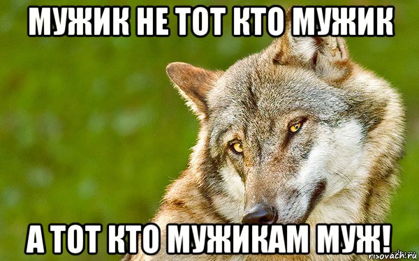 мужик не тот кто мужик а тот кто мужикам муж!, Мем   Volf