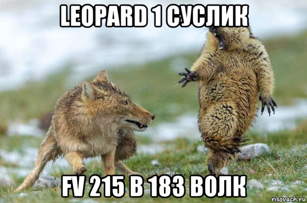 leopard 1 суслик fv 215 b 183 волк, Мем Волк и суслик