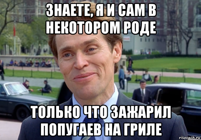 знаете, я и сам в некотором роде только что зажарил попугаев на гриле, Мем Знаете я и сам своего рода учёный