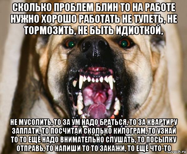 сколько проблем блин то на работе нужно хорошо работать не тупеть, не тормозить, не быть идиоткой, не мусолить, то за ум надо браться, то за квартиру заплати, то посчитай сколько килограм, то узнай то то ещё надо внимательно слушать, то посылку отправь, то напиши то то закажи, то ещё что-то