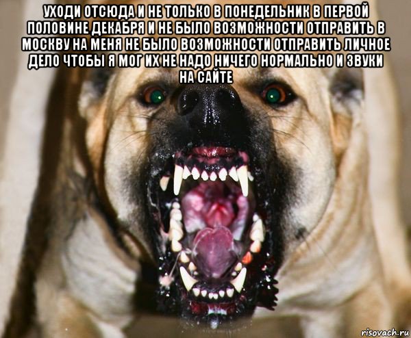 уходи отсюда и не только в понедельник в первой половине декабря и не было возможности отправить в москву на меня не было возможности отправить личное дело чтобы я мог их не надо ничего нормально и звуки на сайте 