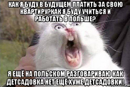 как я буду в будущем платить за свою квартиру?как я буду учиться и работать в польше? я ещё на польском разговариваю как детсадовка нет ещё хуже детсадовки!