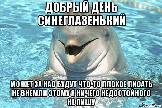 добрый день синеглазенький может за нас будут что-то плохое писать не внемли этому я ничего недостойного не пишу, Мем Дельфин