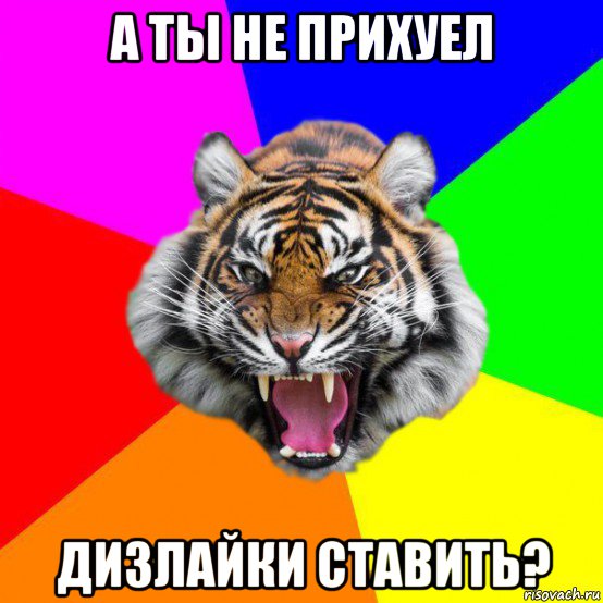 а ты не прихуел дизлайки ставить?