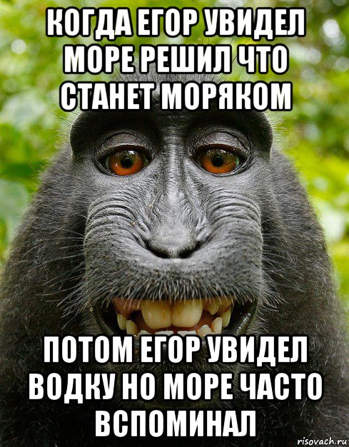 когда егор увидел море решил что станет моряком потом егор увидел водку но море часто вспоминал, Мем  Довольная обезьяна